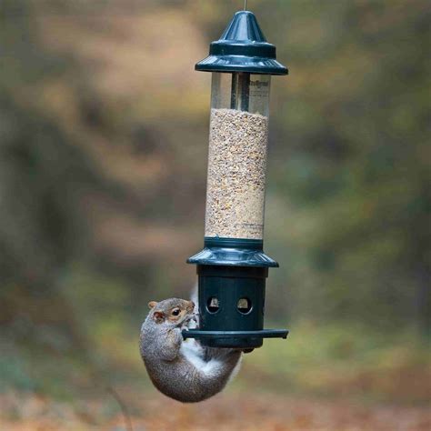 Metal Bird Feeder Station | Cast Iron Bird Feeders | LWB