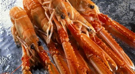 Langoustine Recipes: 5 Dishes with a Chef's Touch