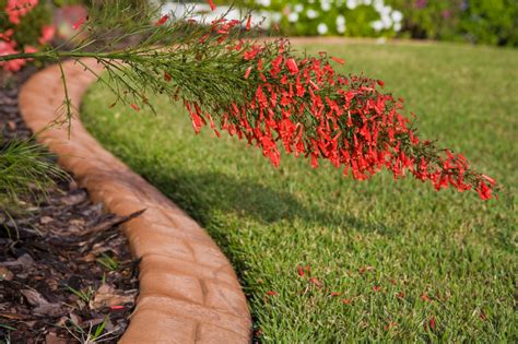 Stone Flower Bed Borders Images Best Flower Site