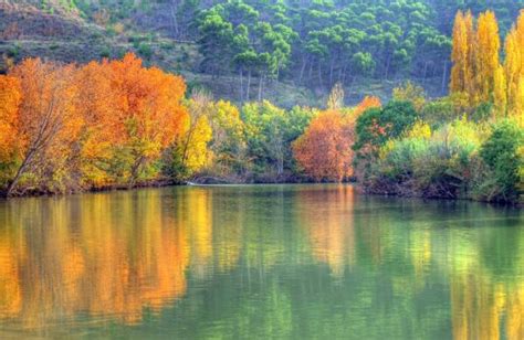 Río Arga Características Historia Flora Y Fauna