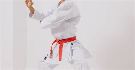 Teenager Standing In Martial Art Pose · Free Stock Photo