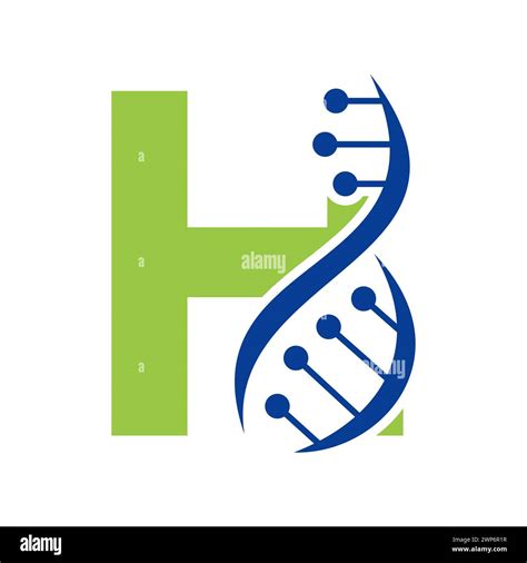 H Chromosome Hi Res Stock Photography And Images Alamy