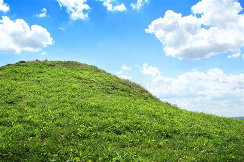 Green Grassy Hill With Blue Sky Stock Photo Image Of Sunlight Grass