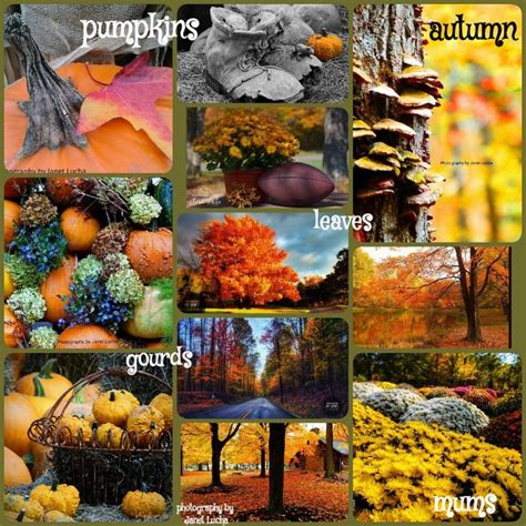 Autumn images collage | Image collage, Fall pumpkins, Painting