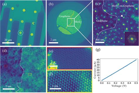 Graphenemos2 Heterostructure Device A Device Structure A Hole With