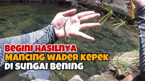 TERNYATA Mancing Ikan Wader Kepek Di Air Bening Begini Hasilnya