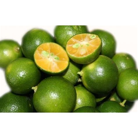 Frozen Calamansi Maika