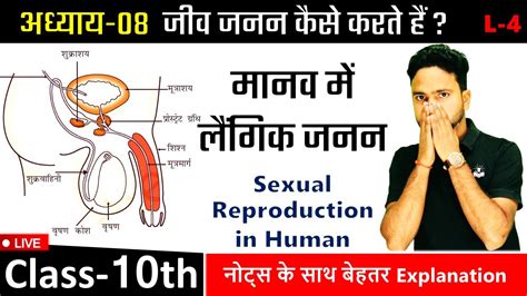 मानव में लैंगिक जनन Sexual Reproduction In Human जीव जनन कैसे करते