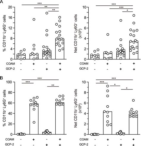 In Vivo Recruitment Of Neutrophils Into The Peritoneal Cavity Mice