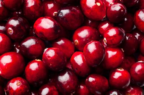 Early Black Cranberry Food Gardening Network