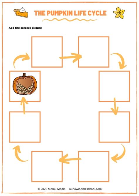 Pumpkin Life Cycle For Preschool