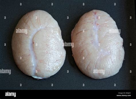 Les Testicules Banque De Photographies Et Dimages à Haute Résolution Alamy