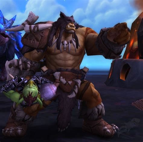 Rexxar Npc World Of Warcraft