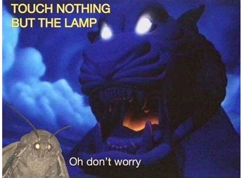 Moth x Lamp | Funny memes, Best memes, Memes