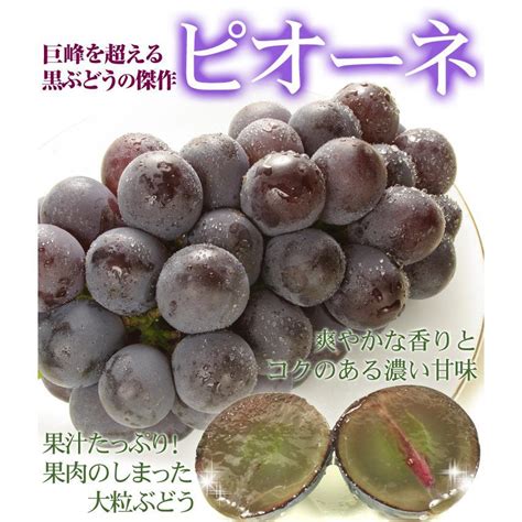 ぶどう 2房 限定特価 ニューピオーネ 岡山産 約12kg ご家庭用 種なしぶどう 送料無料 食品 F90223くだもの大陸・国華園