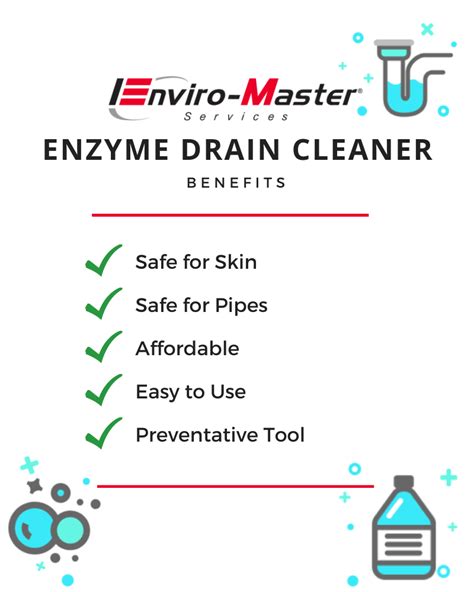 What Is An Enzyme Cleaner How Can It Help Your Drains