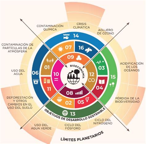 Vista de Bioeconomía y transiciones hacia la sostenibilidad