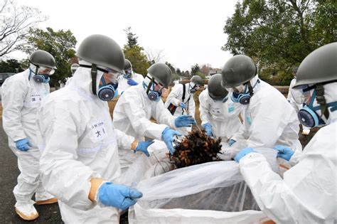 Radiation exposure antidote one step closer, scientists say - UPI.com