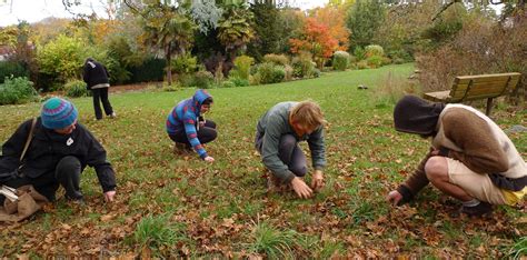 Wild Harvests How To Eat An Acorn