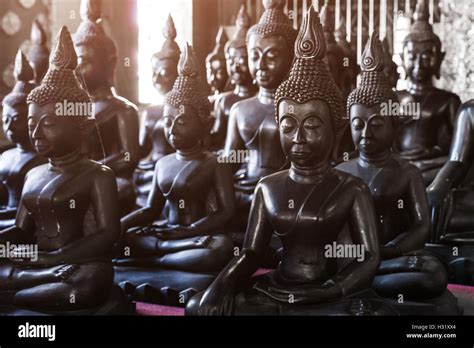 Black Buddha Hi Res Stock Photography And Images Alamy