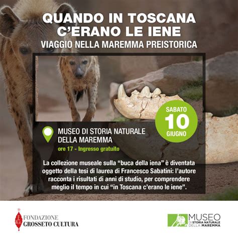 Un Viaggio Nella Maremma Preistorica Al Museo Di Storia Naturale