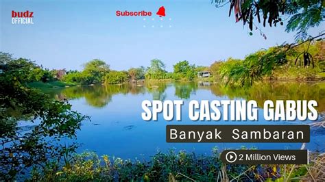 Spot Casting Ikan Gabus Di Surabaya Pocan Spot Youtube