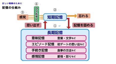 短期記憶の例