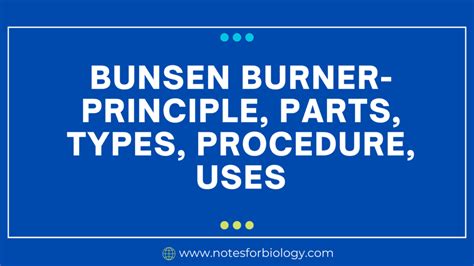 Agglutination Reactions Types Tests Applications Best Biology