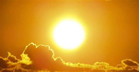 sunny number notation songs