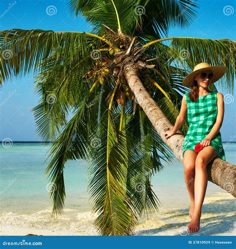 Woman Sitting On A Palm Tree At Tropical Beach Stock Image Image Of