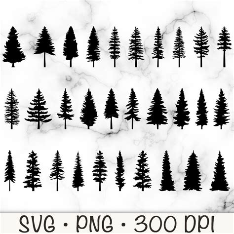 Pine Tree Silhouette SVG Bundle Pack, Evergreen Trees PNG, Instant ...