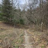 Hot Springs To Tanyard Gap Via Appalachian Trail North Carolina 340