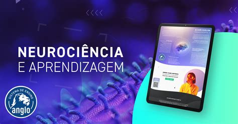 Infogr Fico Neuroci Ncia E Aprendizagem