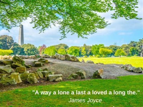 The Top 80 Best James Joyce Quotes (With Explanations!)