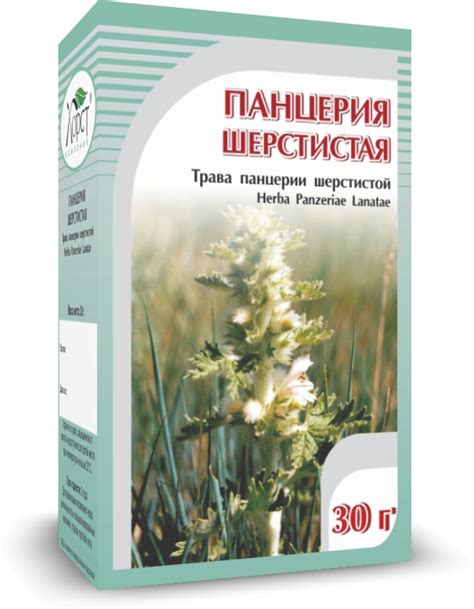 Компания ХОРСТ - ПАНЦЕРИЯ шерстистая