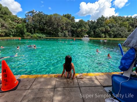 Top Things To Do While Camping In Rainbow Springs • Florida • The Simple Salty Life