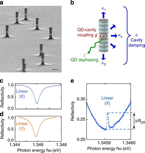 Macroscopic Rotation Of Photon Polarization Induced By A Single Spin Nature Communications