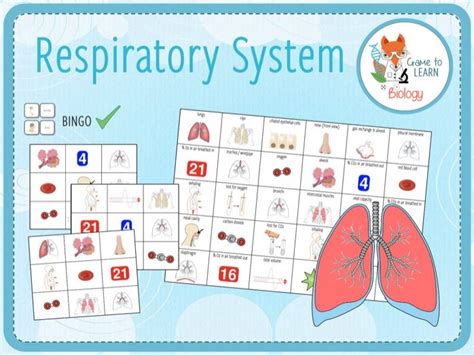 Respiratory System Bingo Ks34 Teaching Resources