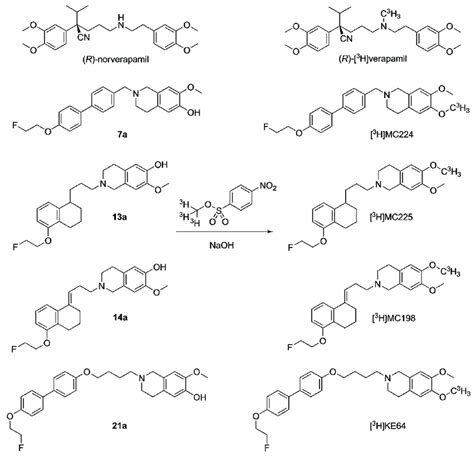 Scheme 5 General Tritium Labeling Of Verapamil Mc224 Mc225 Mc198 Download Scientific