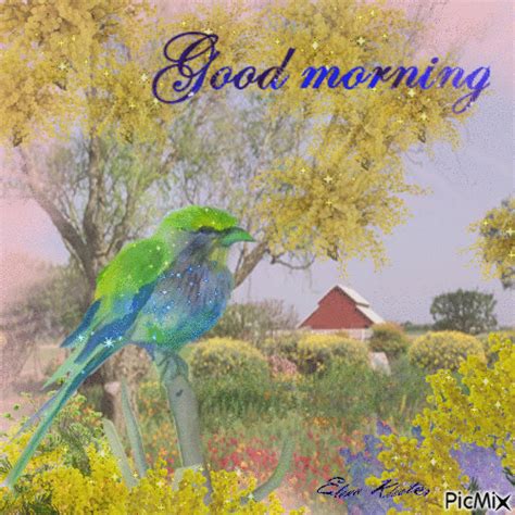 Sparkling Bird In Nature Good Morning Pictures Photos And Images