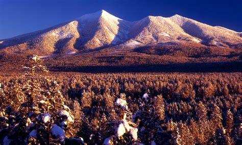 Ski Arizona Snowbowl, Flagstaff Arizona Skiing - AllTrips