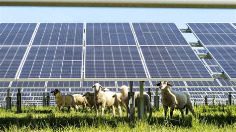 Unef Destaca Que La Fotovoltaica Puede Permitir Atraer Nuevas