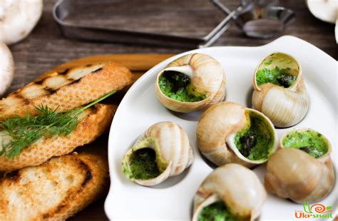 Escargots - изысканное блюдо из улиток https://ukrsnail.com/ Food Photo ...