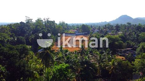 Land For Sale In Watareka Ikman