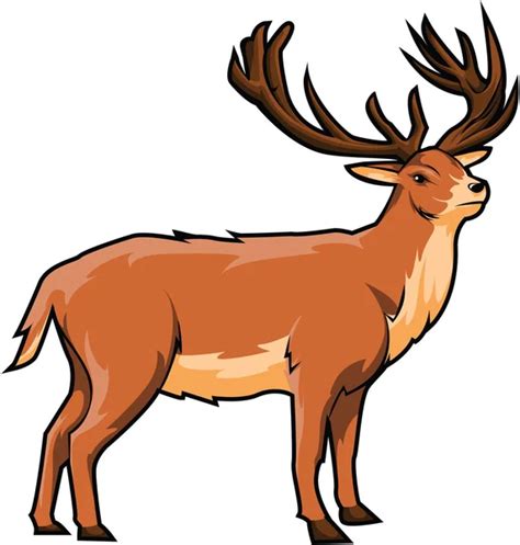 Wild Deer Stock Vector Image By Kaa Alex