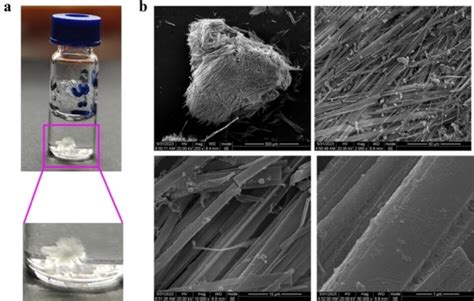 LargeScale Synthesis Of HighPurity Isoguanosine And Resolution Of Its