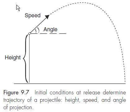 Biomechanics Linear Kinematics Flashcards Quizlet