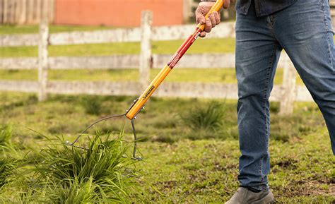 The Best Weeding Tools For Your Yard The Home Depot