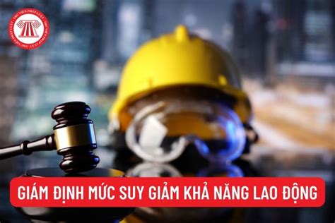 Giám định mức suy giảm khả năng lao động cho người lao động trong