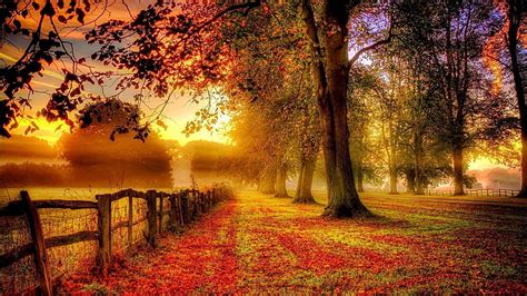 Autumn Landscape, Cool Autumn HD wallpaper | Pxfuel